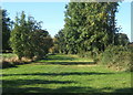 Footpath to Shelland in Shelland