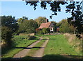 Track towards cottage at Shelland in Shelland