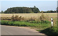 Lane corner and field east of Shelland in Shelland