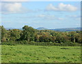 2008 : Farmland and woods near Bulls Green in BA11 3LJ